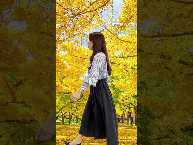 Women's Autumn Japan Trip Outfits