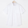 Button Front Polo Shirt - White_11