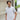 DRYDRY Twill Spread Collar Polo Shirt_30